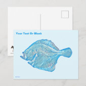 Carte Postale Turbot bleu (Devant / Derrière)