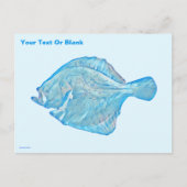 Carte Postale Turbot bleu (Devant)