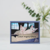 Carte postale Turc Angora Kittens (Debout devant)