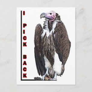 Carte Postale Turc Vautour Je Retire Photo Posterisée