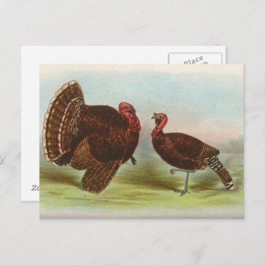 Carte Postale Turclés en bronze (Devant / Derrière)