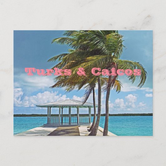 carte postale, TURKS & CAICOS ISLANDS/PALMIER, PIE (Devant)