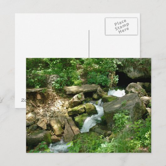 Carte Postale Turner Springs (Devant / Derrière)