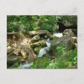 Carte Postale Turner Springs (Devant)