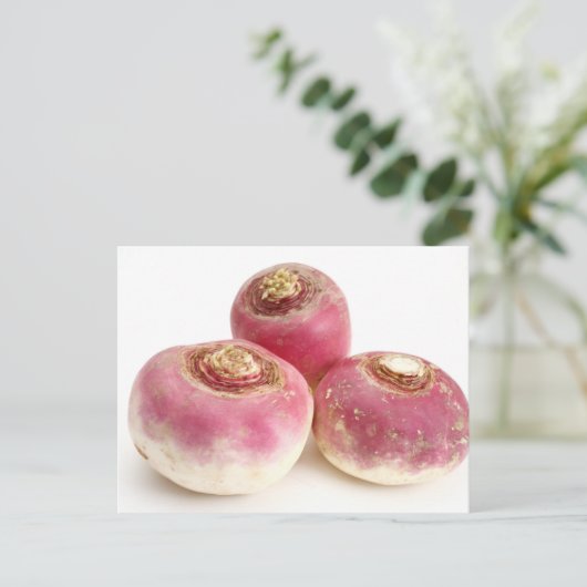 Carte Postale Turnips (Debout devant)