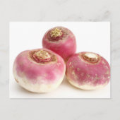 Carte Postale Turnips (Devant)