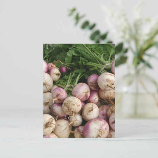 Carte Postale Turnips (Debout devant)