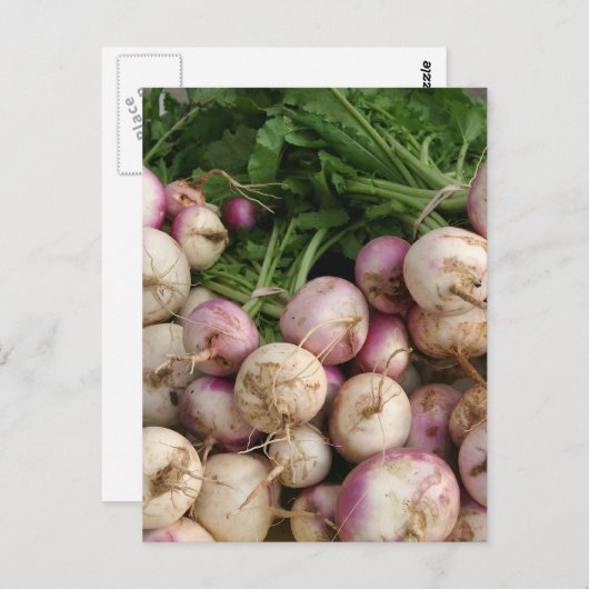 Carte Postale Turnips (Devant / Derrière)