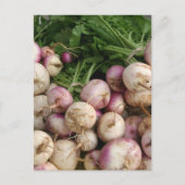 Carte Postale Turnips (Devant)