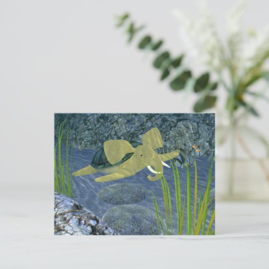 Carte Postale Turphant de natation (Debout devant)