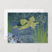 Carte Postale Turphant de natation (Devant / Derrière)