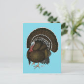 Carte Postale Turquie Bronze Tom (Debout devant)