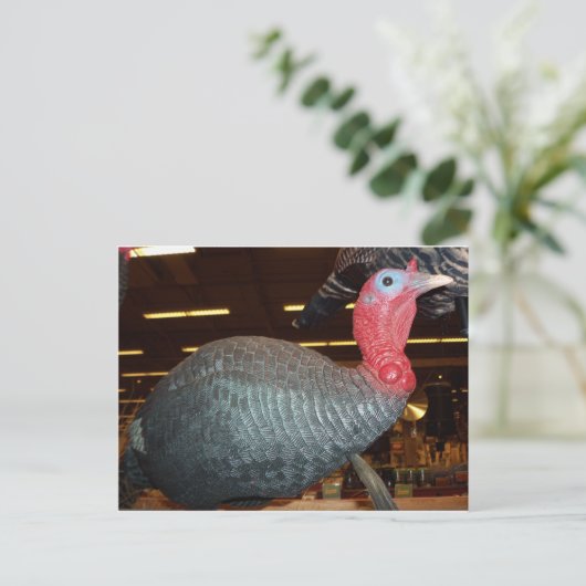 Carte Postale Turquie Decoy (Debout devant)