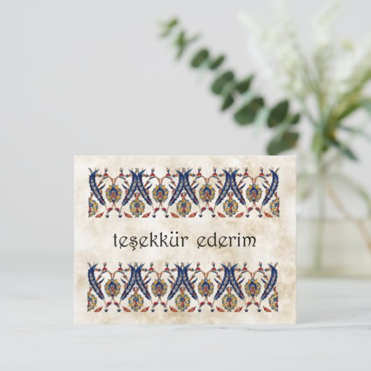 Carte Postale TURQUIE - Merci (Debout devant)