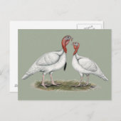 Carte Postale Turquie Mini Blancs (Devant / Derrière)