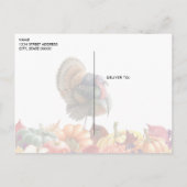 Carte postale Turquie Thankgiving (Dos)