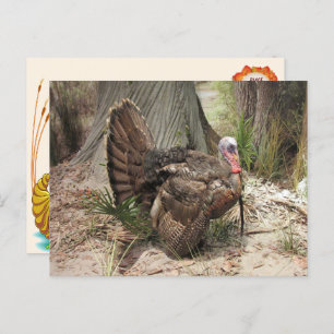 Carte postale Turquie Thankgiving