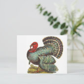 Carte Postale Turquie vintage (Debout devant)