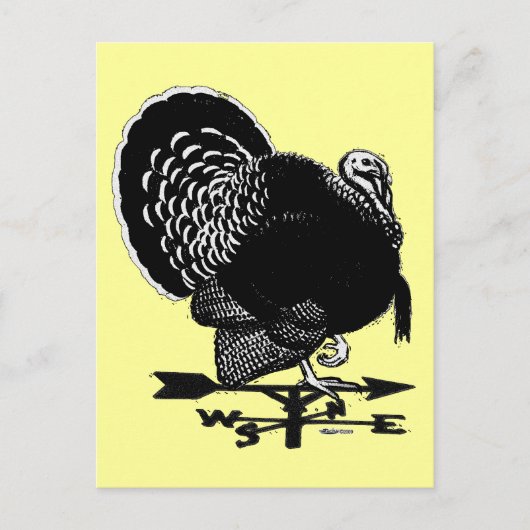 Carte Postale Turquie Weathervane (Devant)
