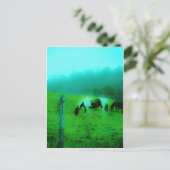 Carte Postale Turquoise brouillard Reto colorié poney peint Chev (Debout devant)