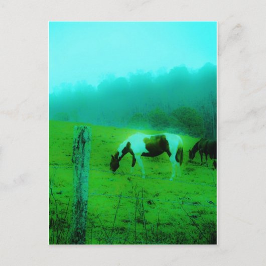 Carte Postale Turquoise brouillard Reto colorié poney peint Chev (Devant)