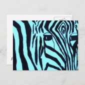 Carte postale turquoise de Zebre (Devant / Derrière)