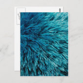 Carte Postale Turquoise riche (Devant / Derrière)