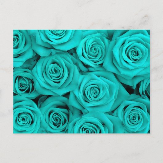 Carte Postale Turquoise Spectaculaire Roses (Devant)