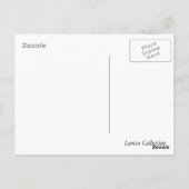 Carte postale Turtle (Dos)