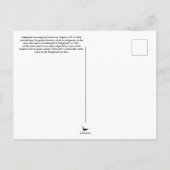 Carte Postale Turtle de Caroline du Sud (Dos)