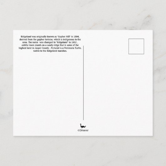 Carte Postale Turtle de Caroline du Sud (Dos)