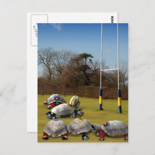 Carte Postale Turtle Rugby (Devant / Derrière)