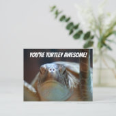 Carte postale Turtley (Debout devant)