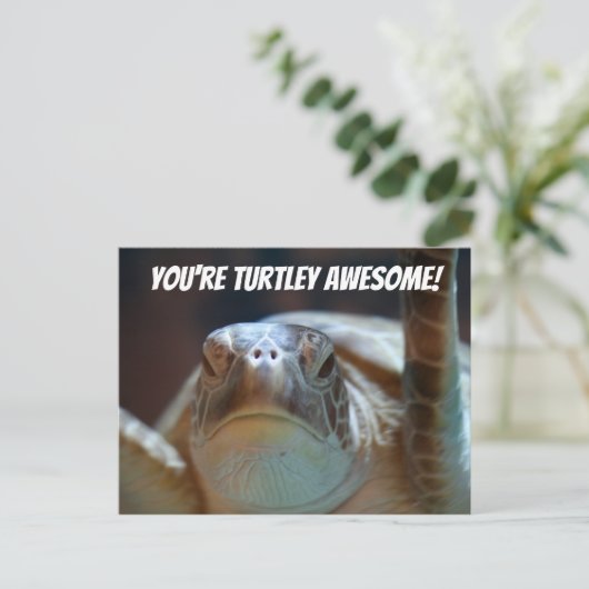 Carte postale Turtley (Debout devant)