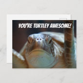 Carte postale Turtley (Devant / Derrière)