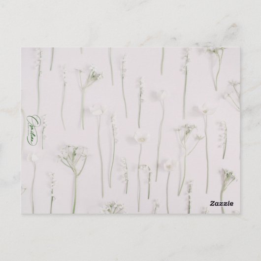 Carte Postale Tuscane (Dos)