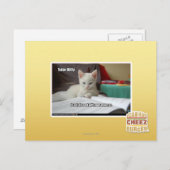 Carte Postale Tutor Kitty (Devant / Derrière)