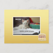 Carte Postale Tutor Kitty (Devant)