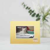 Carte Postale Tutor Kitty (Debout devant)