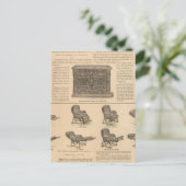Carte Postale Tuttle et Bailey Manufacturing Company (Debout devant)