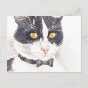 Carte Postale Tuxedo