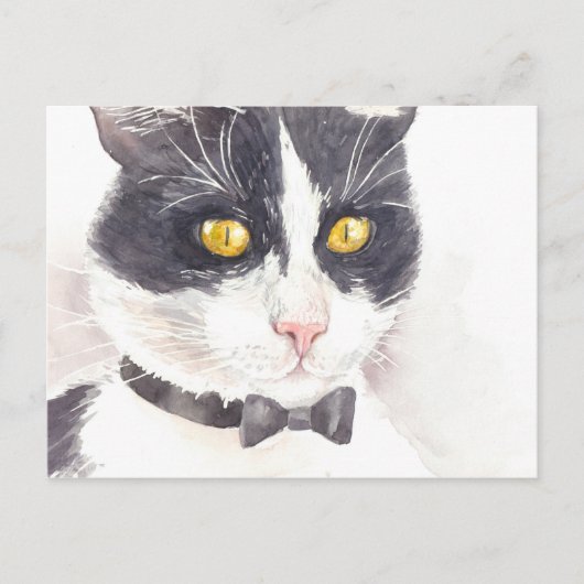 Carte Postale Tuxedo (Devant)