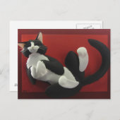 Carte postale Tuxedo (Devant / Derrière)