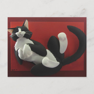 Carte postale Tuxedo