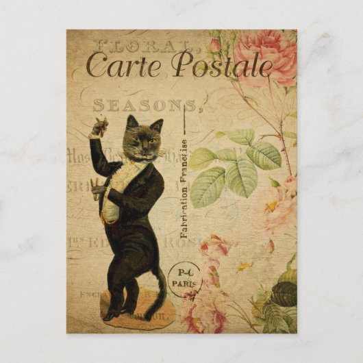 Carte postale Tuxedo (Devant)
