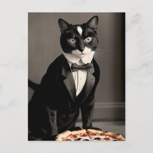 Carte Postale tuxedo cat et pizza (Devant)