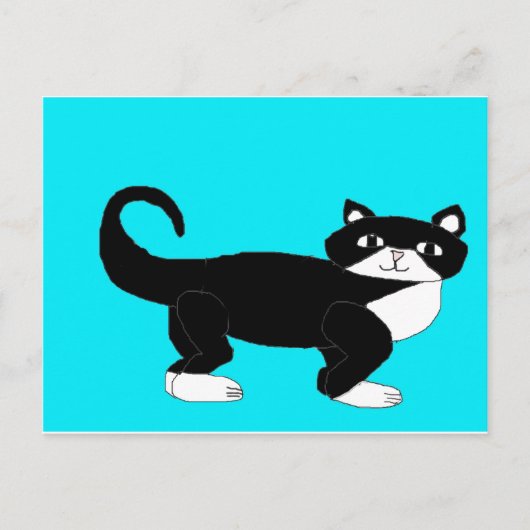 Carte Postale Tuxedo Chat. (Devant)