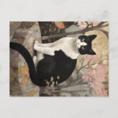 Carte Postale Tuxedo Chat dans le jardin (Devant)