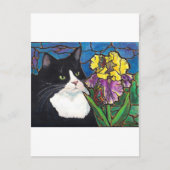 Carte Postale Tuxedo Chat Iris Fleur Papillon Tiré (Devant)