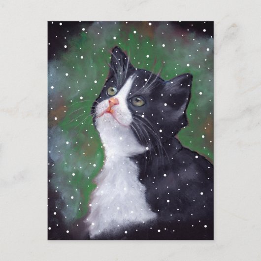 Carte Postale Tuxedo Chat Regardant Vers Le Haut Des Flammes De (Devant)